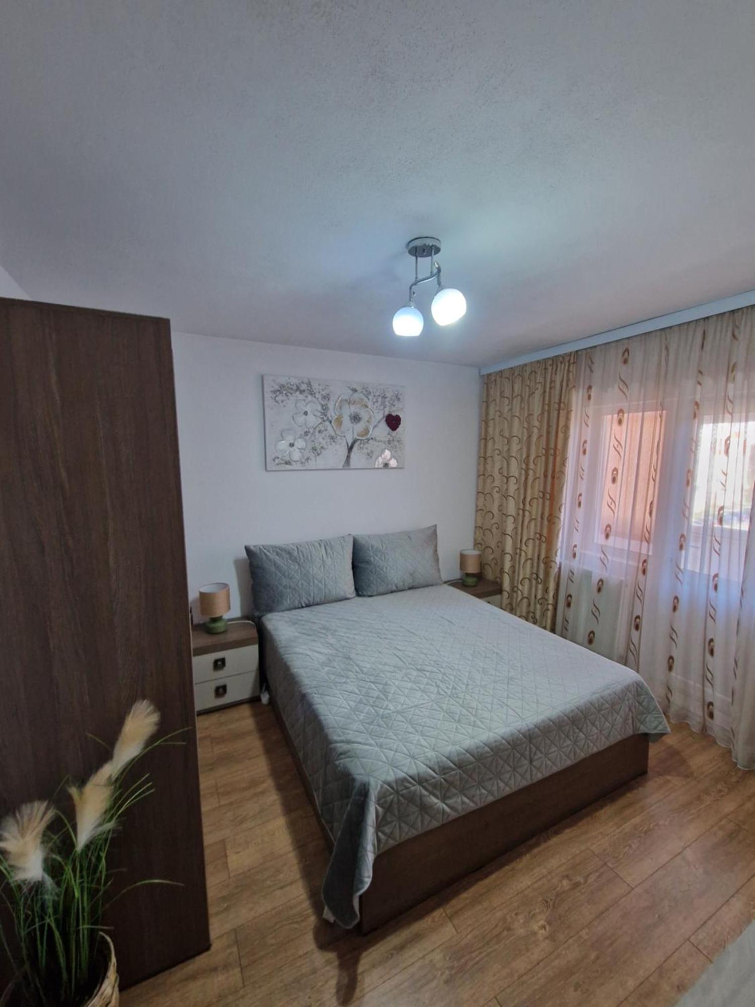 Appartement 2 Muscel Cîmpulung